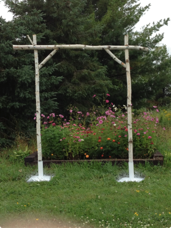 Birch Arch - Image 4