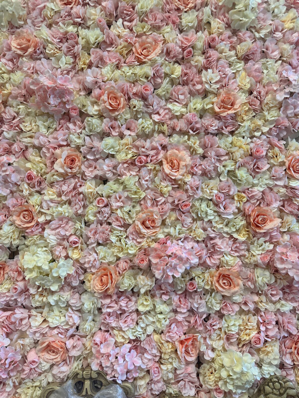 Pink Rose Wall