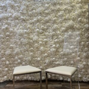 Clear Back  Sweetheart Chairs