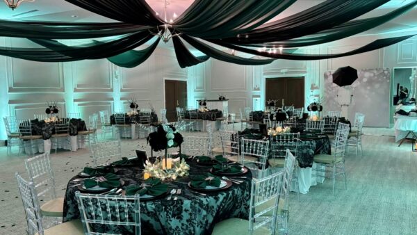 Custom Ceiling Draping - Image 5